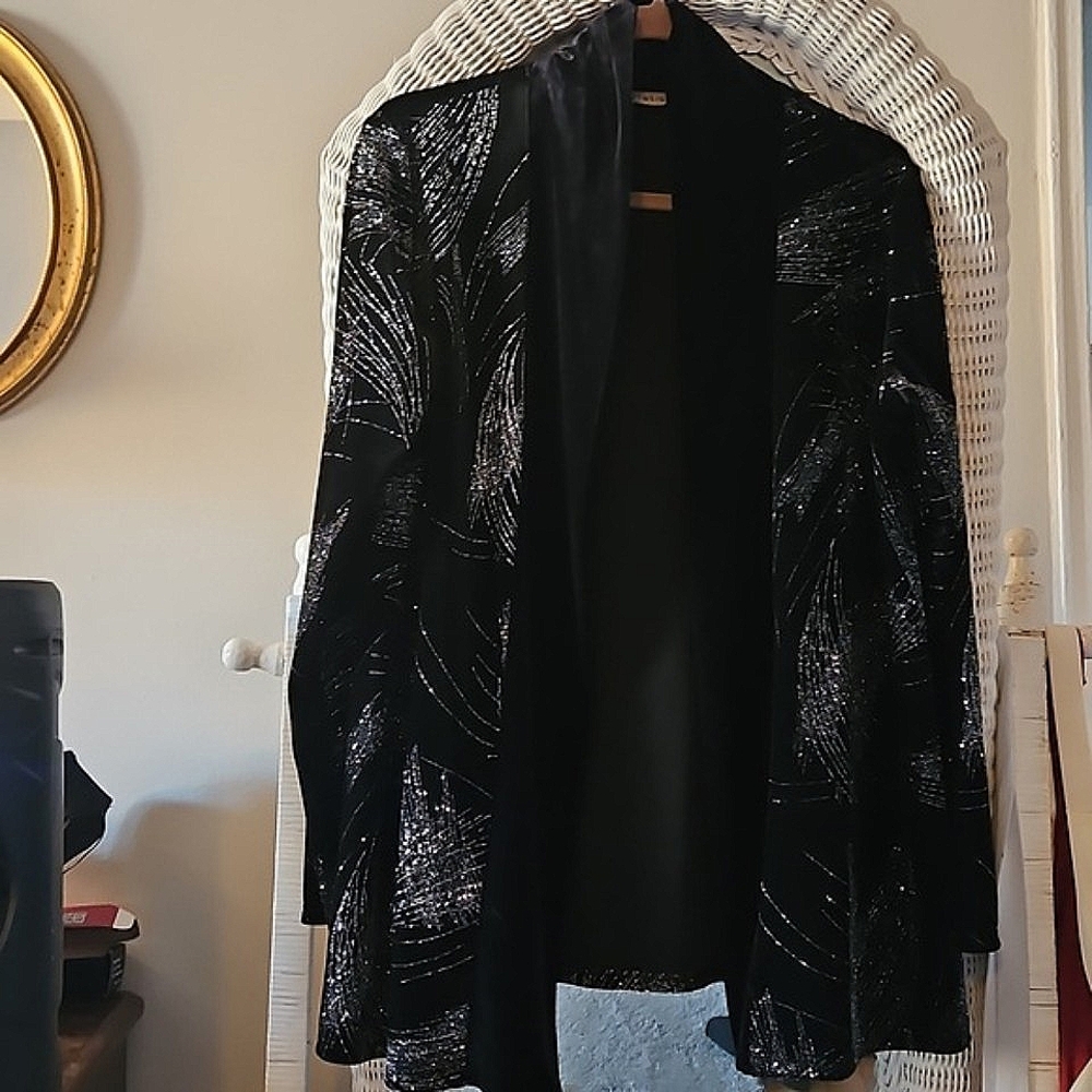 ♥️HP Georgeous Vintage Noir Velour Velvet Formal Coat Topper Embroidered Silver